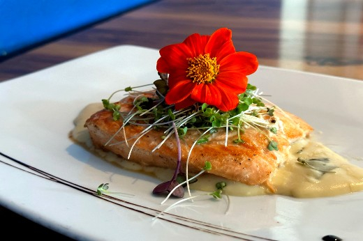 salmon en salsa blanca al estilo de restaurante travesia