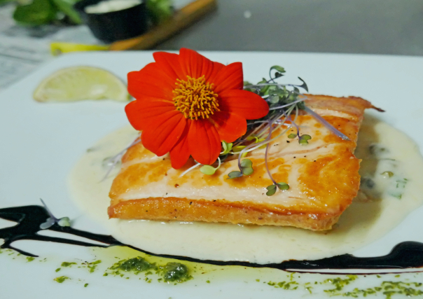 Rico salmon con el sazon del restaurante travesia en quebradillas puerto rico.